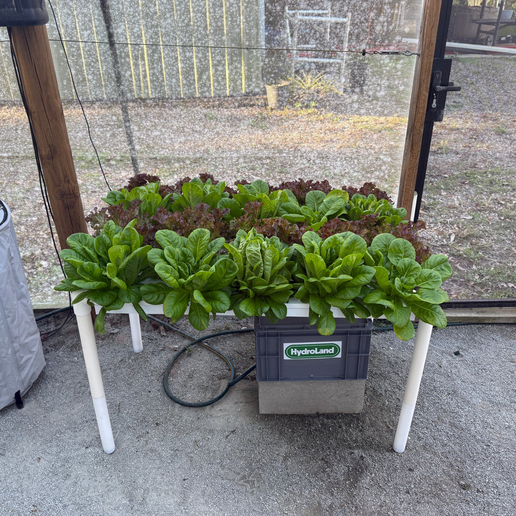 36 Hole NFT System - Medium Salad Table Kit