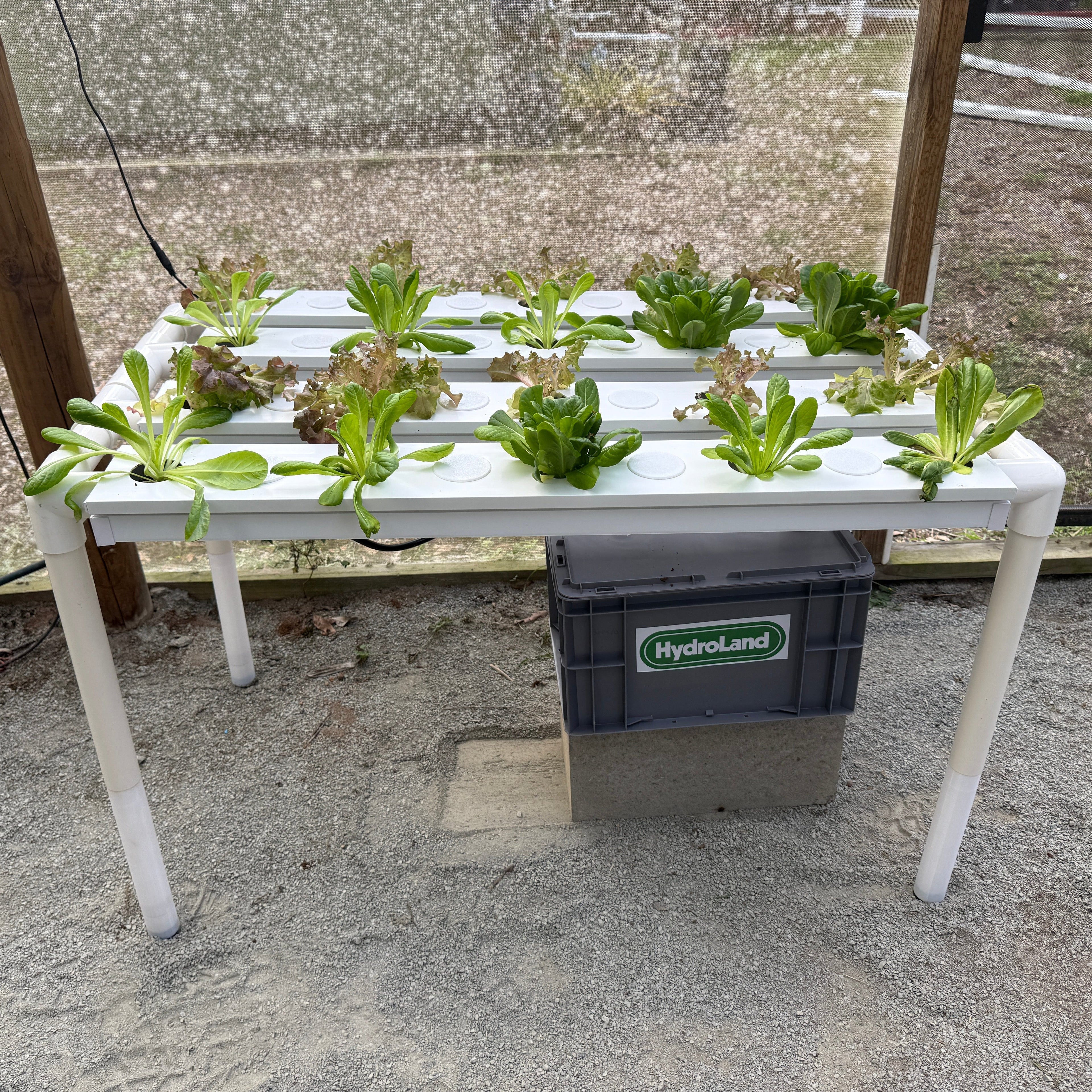 36 Hole NFT System - Medium Salad Table Kit