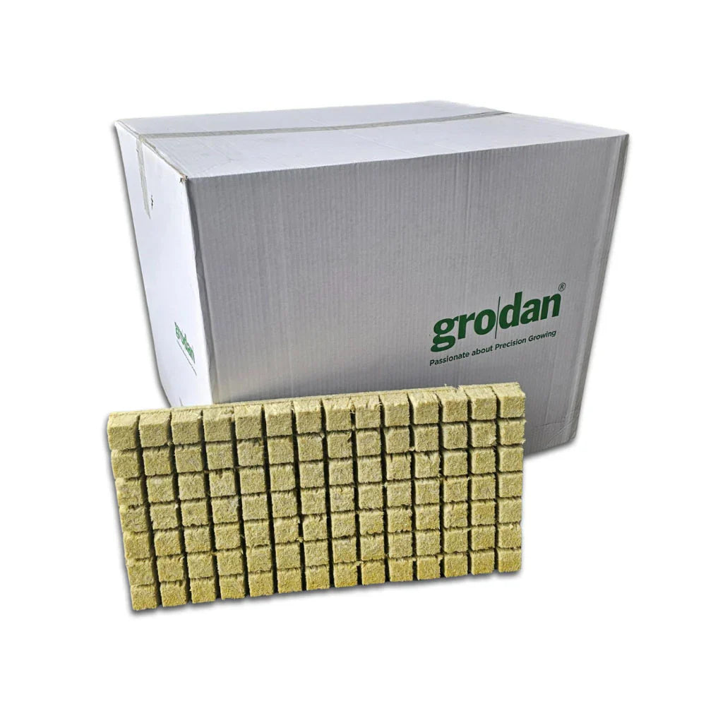 Grodan AO36/40 – 36 mm Rockwool Propagation Plugs
