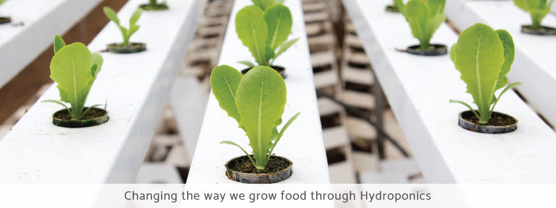 Marley UV Stabilized Food-Grade PVC Hydroponic NFT Channels